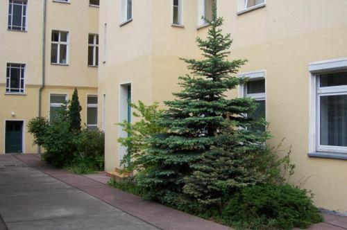 Hotel Pension Streuhof Berlin Exterior photo
